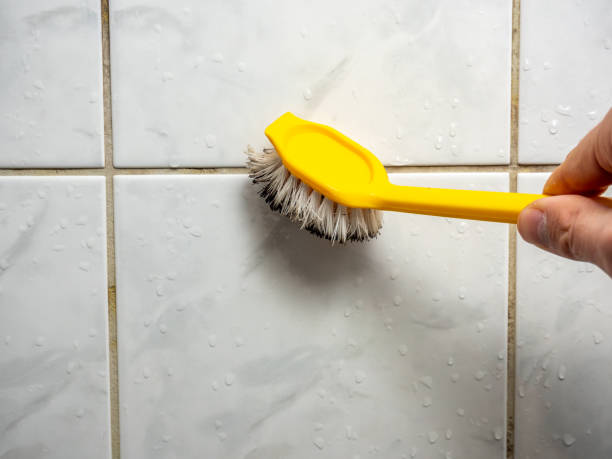 Best Affordable Mold Removal  in South Pottstown, PA