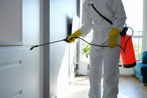 Best Attic Mold Removal  in South Pottstown, PA